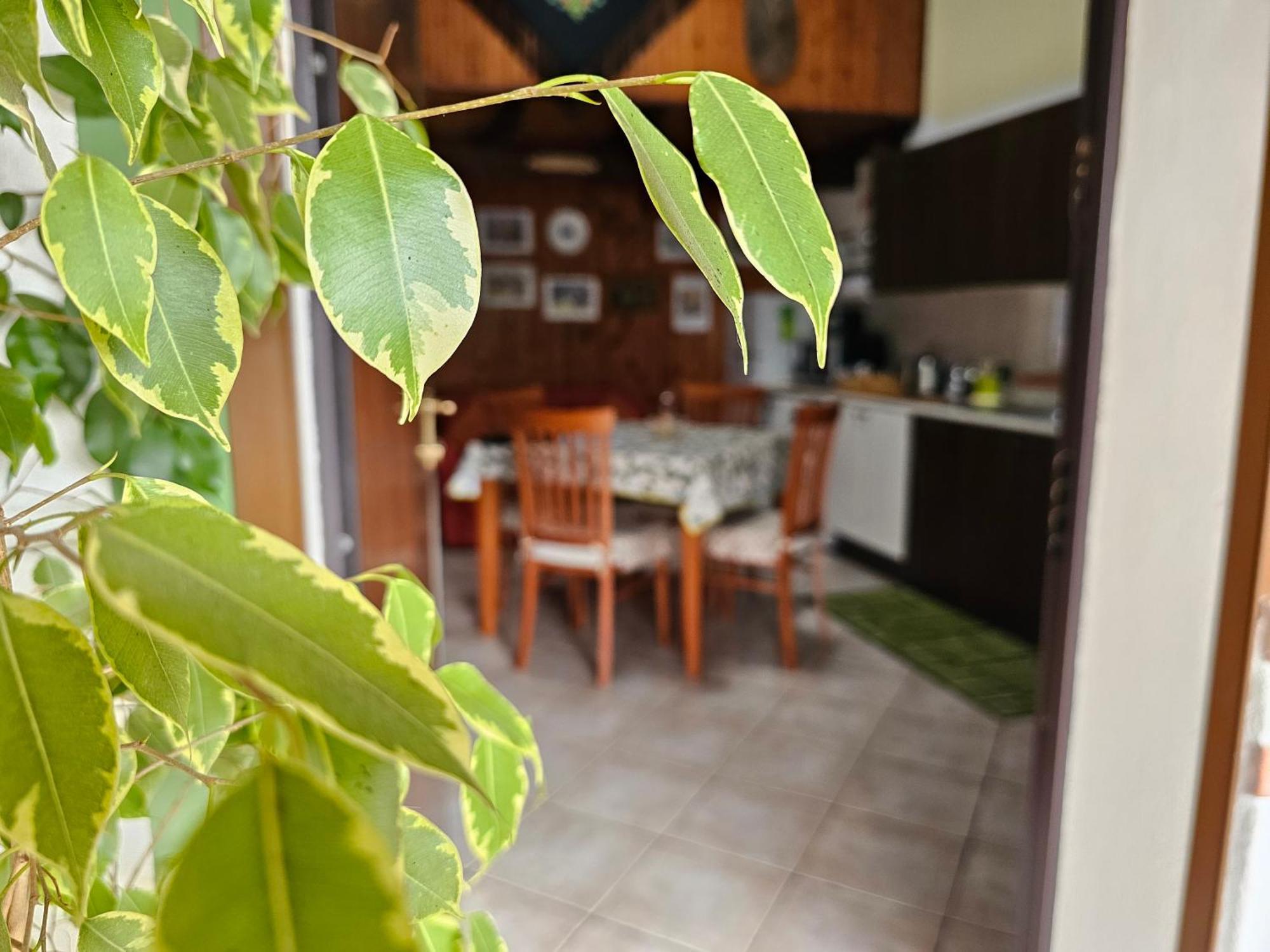 Casa Serena Serdiana Екстериор снимка